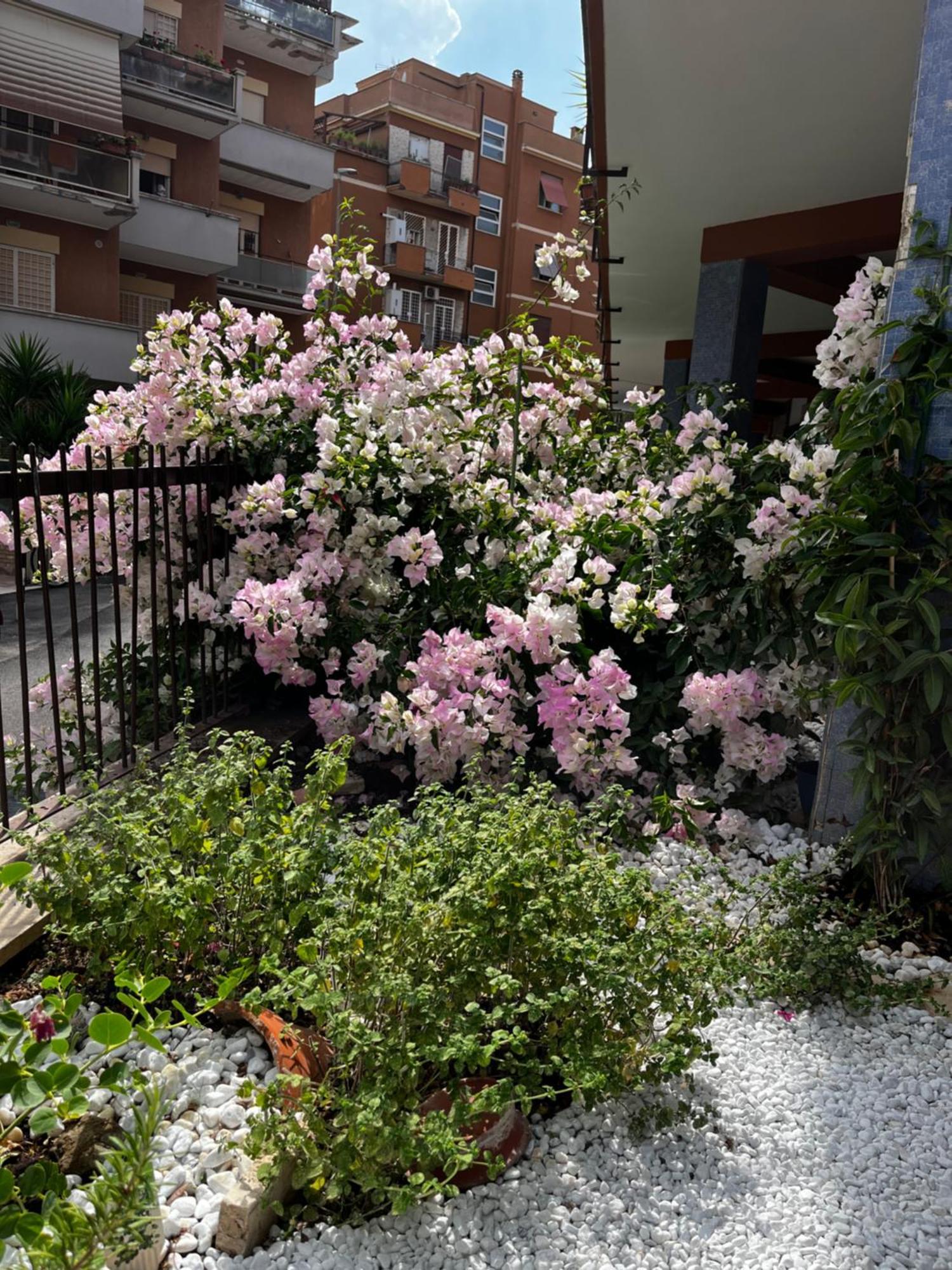 Casetta Romana 外观 照片